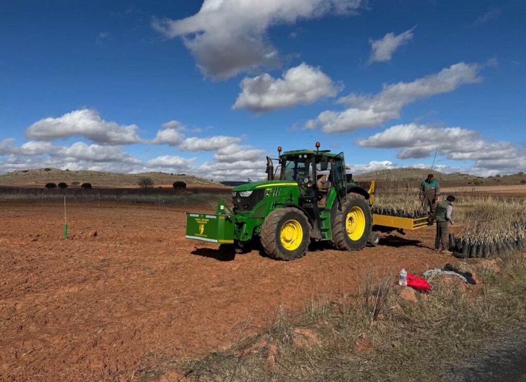 Guía de plantación de pistacho: planta hoy, cosecha el futuro Guía de plantación de pistacho